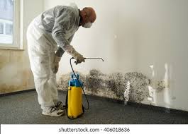 Trusted Philmont, NY Mold Removal Services Experts